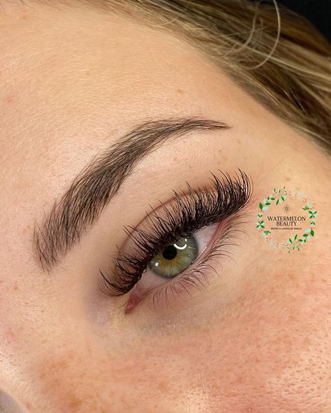 2d Hybrid Lashes, D Curl Lash Extensions, Wispy Hybrid Lash Extensions, Holiday Lashes, Holiday In The Sun, Lash Ideas, Tatti Lashes, Holiday 2024, Eyelash Extentions