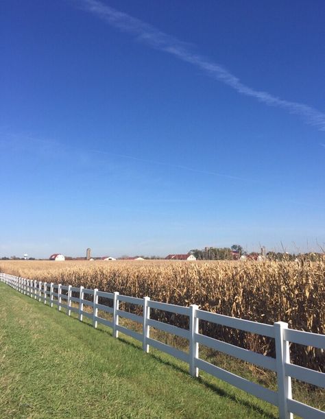 #cornfields #illinois #perspective #photo Illinois Aesthetic Country, Illinois Landscape Photography, American Country Aesthetic, Cornfield Aesthetic, Illinois Countryside, Midwestern Aesthetic, Illinois Aesthetic, Illinois Landscape, Ohio Landscape