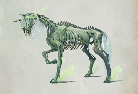 Monster, Mount, D&D Horse Monster, Undead Horse, Zombie Horse, All Mythical Creatures, Pale Horse, Horsemen Of The Apocalypse, D D Monsters, Fantasy Horses, Unicorn Horse