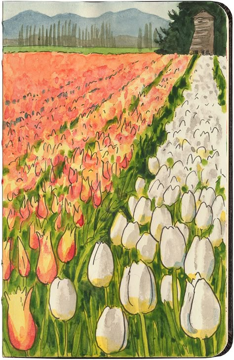 Pink Tulips Drawing Aesthetic, Drawing Field Of Flowers, Illusbyjo Wallpapers, Flower Field Painting, Field Of Tulips, Tulip Drawing, Fields Of Gold, Garden Drawing, Tulip Fields