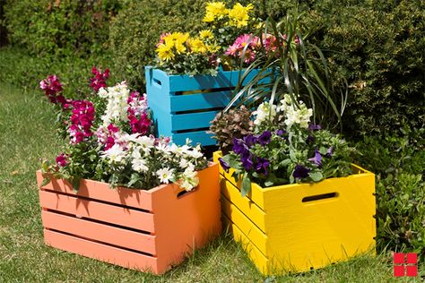 wooden_crate_planters_ro.ashx (717×478) Crates For Plants, Painted Wooden Planters, Wooden Crates Garden, Wooden Crates Projects, Painted Outdoor Furniture, Crate Decor, Used Outdoor Furniture, Vegetable Garden Planner, Planter Project