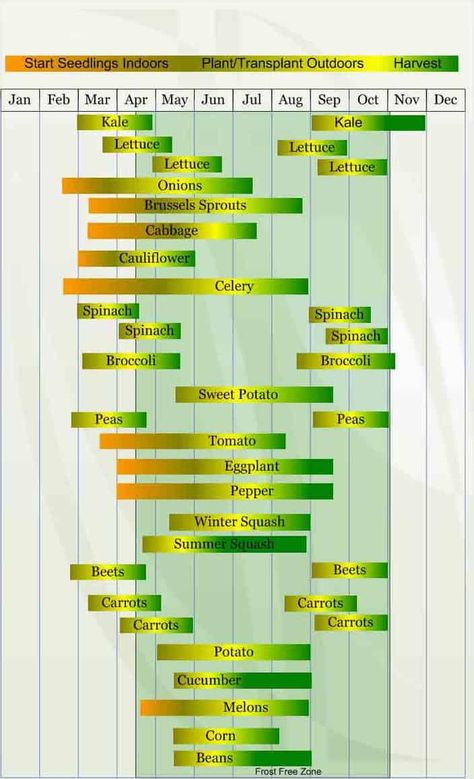 Vegetable Planting Calendar, Gardening Calendar, Seedlings Indoors, Vegetable Planting, Planting Calendar, Gardening Zones, Zone 7, Fall Vegetables, Magic Garden