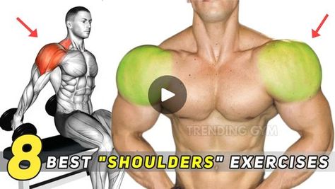 120K views · 2.4K reactions | 8 Best Wide Shoulders Exercises - Shoulders Workout | 8 Best Wide Shoulders Exercises - Shoulders Workout | By Trending Gym | Eight effective shoulder exercises, Seated dumbbell lateral raise. This is an excellent exercise for building the medium deltoid muscles. The main working muscles are the deltoids. The auxiliary muscles affected are the forearm and trapezius muscle. Rear delt raises, the bent over lateral dumbbell raise focuses the load onto the posterior deltoid muscles. This group of muscles is very difficult to develop because there are very few exercises that intentionally load the posterior surface of the deltoid muscles. Upright row. The upright row primarily targets your traps and side delts. So any exercise for these areas will work as an altern Dumbbell Lateral Raise, Trapezius Muscle, Upright Row, Shoulders Workout, Shoulder Exercises, Rear Delt, Wide Shoulders, Lateral Raises, Shoulder Workout