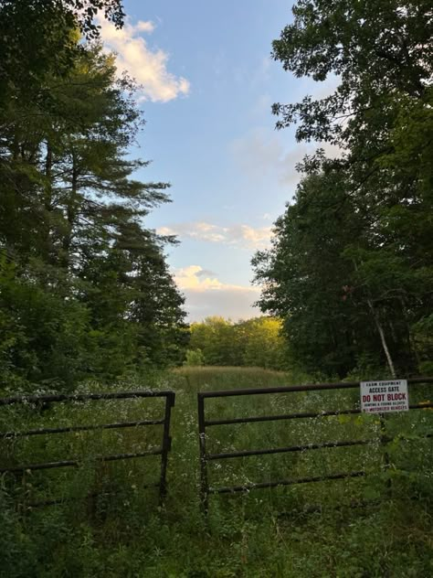 Pine Woods Aesthetic, Rural House Aesthetic, Rural New England, Rural England Aesthetic, Rural Midwest Aesthetic, Rural New York, Rural America Aesthetic, New Hampshire Aesthetic, New England Gothic