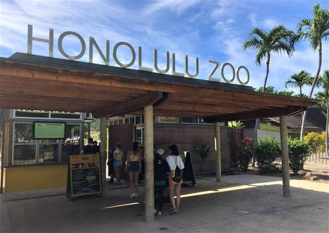 Honolulu Zoo Oahu Hawaii, Museum Activities, Hawaii 2023, Waimea Falls, Hawaii Trip Planning, Moana Surfrider, Honolulu Zoo, Oahu Hikes, Zoo Activities