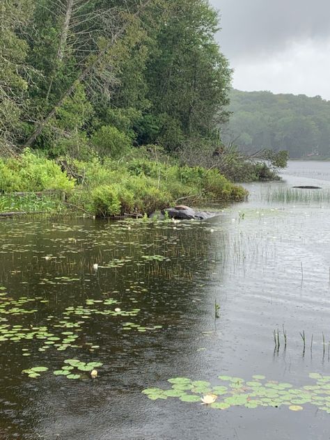 Cottagecore Rain Aesthetic, Rain Apartment, Puddle Aesthetic, Cottagecore Rain, Cottage Pond, Location Aesthetic, Pond Aesthetic, Rainy Lake, Rainy Summer