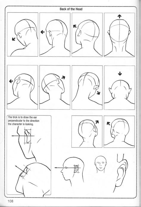 Head Lifted Up Drawing, How To Draw Back Of Head, Head Back Drawing Reference, Manwha Head Reference, Man Tilting Head Back, How To Draw A Head From The Back, Head From The Back Drawing, Back Of Head Reference Drawing, The Back Of Someones Head Drawing