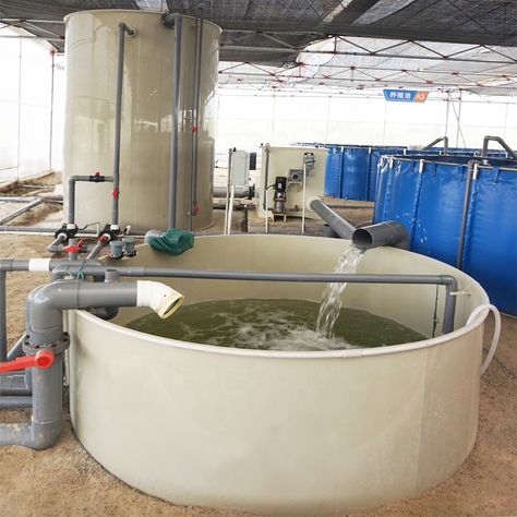 Aquaculture Aquaponics, Fish Hatchery, Ozone Generator, Farming Equipment, Fish Farming, Healthy Environment, Water Quality, Farm Equipment, Wooden Case