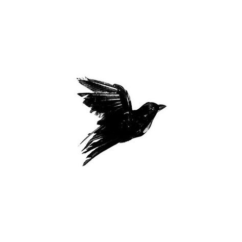 Beatles Inspired Tattoos, Bird Tattoo Men, Crows Drawing, Vogel Tattoo, Bird Tattoo Wrist, Black Bird Tattoo, The Garden Of Words, Crow Tattoo, Raven Tattoo