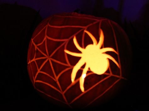 2015 Halloween Pumpkins - Spider web. Spider Pumpkin Carving Ideas, Spiderweb Pumpkin Carving, Pumpkin Carving Spider Web, Spider Web Pumpkin Carving, Pumpkin Carving Ideas Spider Web, Pumpkin Carving Ideas Spider, Pumpkin Carving Spider, Scary Spider Pumpkin, Modern Pumpkin Carving