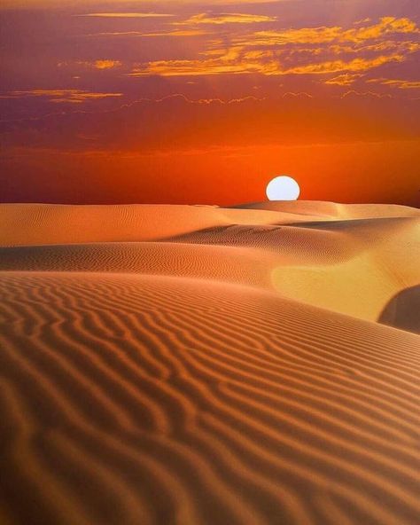 Desert Pictures, Desert Beauty, Desert Photography, Desert Dream, Desert Life, المملكة العربية السعودية, Beautiful Sunrise, Desert Landscaping, In The Desert