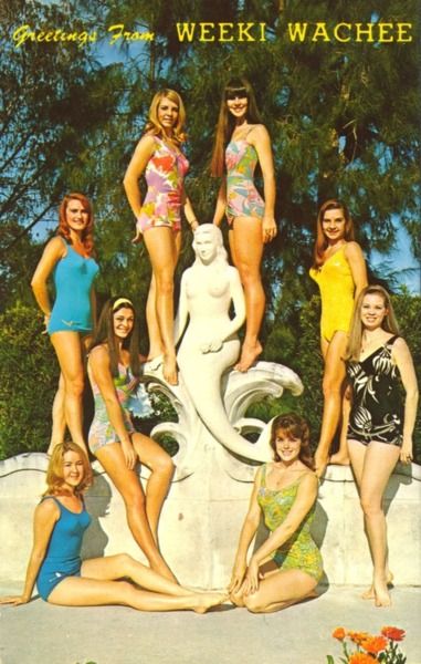 hollyhocksandtulips: The Weeki Wachee Mermaids, Florida, 1960s Weeki Wachee Mermaids, Seminole Indians, Weeki Wachee, Mermaid Statues, Visit Florida, Mermaid Life, Vintage Swimwear, Roadside Attractions, Beach Rentals