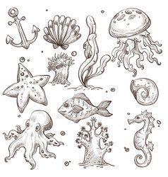 Underwater Animals Drawing, Water Animals Drawing, Animals Underwater, Underwater Drawing, Aquatic Animal, Ocean Drawing, Creature Marine, Underwater Plants, Animals Drawing