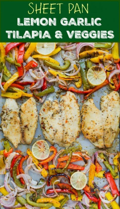 Grilled Tilapia Recipes, Tilapia Dinner, Healthy Tilapia, Tilapia Recipes Healthy, Oven Baked Tilapia, Baked Tilapia Recipes, Garlic Baked, Oven Meals, Grilled Tilapia