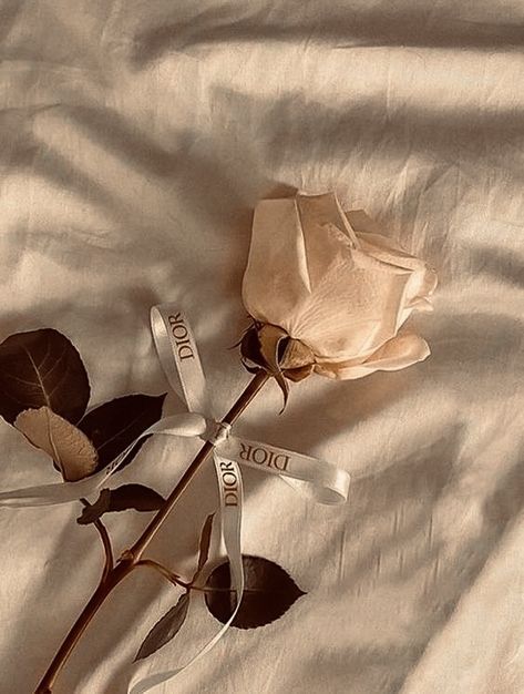 #Dior #rose #aesthetic #wallpaper #beige #fancy White And Brown Wallpaper Aesthetic, Aesthetic Pictures Beige Vintage, Beige Images Aesthetic, Light Pink Beige Aesthetic, Brown Wallpapers Aesthetics, Beige Camera Aesthetic, Wallpaper Iphone Beige Brown, Aesthetic Iphone Home Screen Wallpaper, Brown Rose Aesthetic