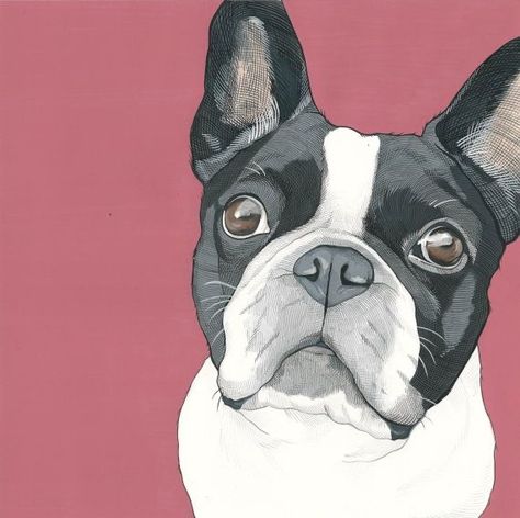 Pet Paintings Dogs, Terrier Painting, Boston Terrier Art, French Bulldog Art, Custom Pet Painting, Bulldog Francese, Boston Terrier Love, Animal Portraits Art, 강아지 그림