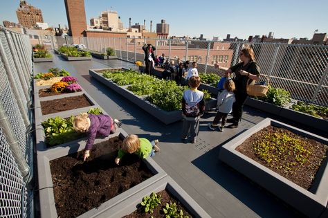 Teachers at schools with their own gardens are bringing their classrooms to nature, encouraging students to plant, harvest and experiment with solar and wind energy. Nyc House, School Playground, Luxury Garden, Outdoor Classroom, Garden Architecture, School Garden, Farm Design, Home Vegetable Garden, Outdoor Learning