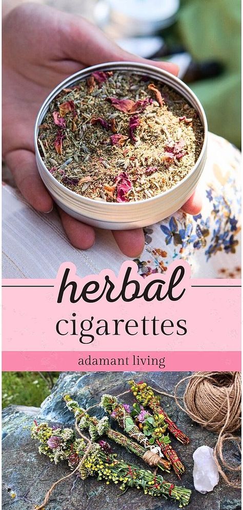 A deep dive into the fascinating world of medicinal herbs, this resource reveals the art of crafting Herbal Cigarettes. Rich with insights about smokable herbs and plants, it provides a thorough understanding of these alternative herbal remedies. Explore the range of Herbal Smoking Blends and learn about their distinctive characteristics and potential health benefits. Smokable Herb Blends, Medicinal Herbs Recipes, Herb Crafts, Smokable Herbs, Medicinal Herbs Remedies, Herb Diy, Herbal Medicine Recipes, Herbal Remedies Recipes, Herbs And Plants