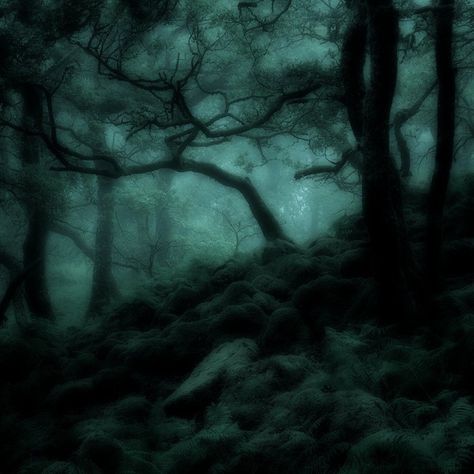 Dark Fairycore Aesthetic, 1366x768 Wallpaper Hd, Fairy Grunge Aesthetic, Dark Naturalism, Dark Forest Aesthetic, Dark Fairycore, Grunge Pictures, Fairycore Aesthetic, Dark Green Aesthetic