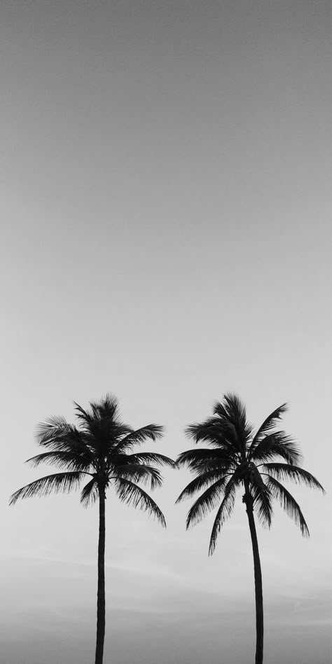 Moody Beach Aesthetic, Grand Canaria, Wallpapers Black And White, Photo Surf, Black And White Tropical, Home Screen Setup, Number Wallpaper, Flowers House, Freeze Frame