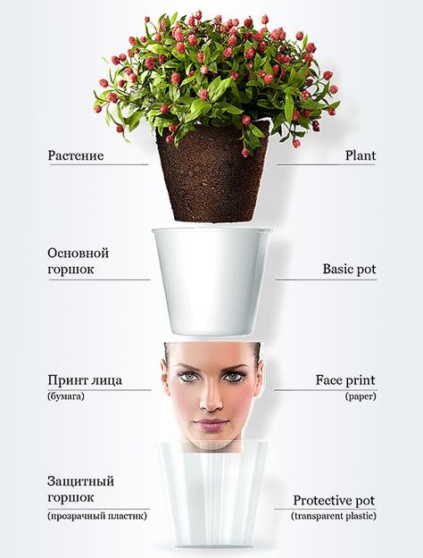 What fun flower pots!! Fun Planters, Chia Pet, Flower Pot Design, Fresh Hair, Modern Planters, Cadeau Photo, Pot Designs, Human Face, Cool Diy Projects