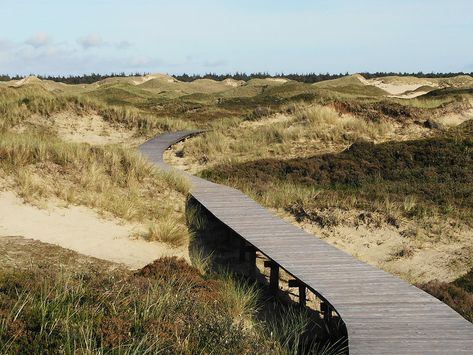 Sand Landscape Design, Rayong, New Nordic, Beach Boardwalk, Beach Landscape, Architecture Presentation, The Dunes, Landscape Architecture, Outdoor Spaces