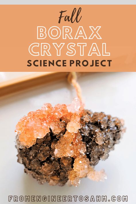 Fall Borax Crystal Science Project - From Engineer to Stay at Home Mom Borax Crystals, Fall Science, Fall Walk, Growing Crystals, Preschool Science Activities, Science Experiments For Preschoolers, Fall Preschool Activities, Small Mason Jars, Autumn Activities For Kids