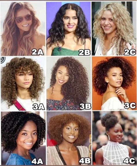 Type 2c Hair, Hair Type Chart, Curly To Straight Hair, Hair Chart, 4c Hair Care, Haircut Types, Short Curly Haircuts, Makeup Hairstyle, Curly Girl Method