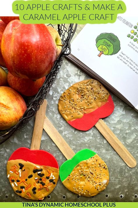 10 Fall Apple Crafts and Make a Caramel Apple Craft on a Stick. Fall apple crafts are so fun to make with your littles, there is no shortage of ideas, and the materials are endless. Also, you’ll love some facts on my page Apple Lapbook and Apple Unit Study. I have 10 sweet fall apple crafts for you as well as a tutorial to teach you how to make a caramel apple craft on a stick. An apple study should naturally have loads of hands-on activities. Apples grow in apple orchards. Candy Apple Craft, Fall Apple Crafts, Caramel Apple Craft, Apple Study, Apple Unit Study, Apple Crafts, Adventure Crafts, Stem Projects For Kids, Apple Orchards