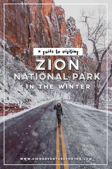 Don’t Visit Zion In the Winter…….Untill You Read This Zion Hikes, Zion Park, Vacations In The Us, Utah Vacation, Winter Travel Destinations, Utah Road Trip, Utah Travel, Southern Utah, Camping Locations