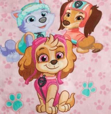 Dog Paw Drawing, Skye And Everest, Sky Paw Patrol, Paw Drawing, Paw Patrol Movie, Dibujos Toy Story, Everest Paw Patrol, Paw Patrol Skye, Paw Patrol Girl