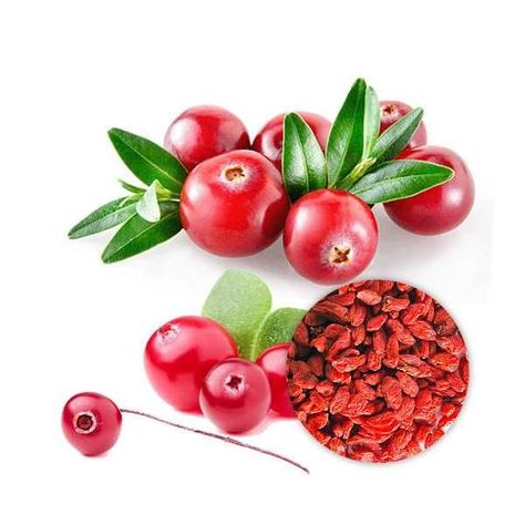 health benefits cranberry juice Cranberry Powder, Cranberry Extract, Cranberry, Fruit