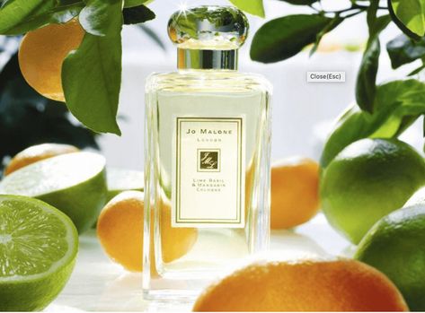 Here are some of our all-time favourite potions that offer olfactory refreshment when the mercury rises. Jo Malone Lime Basil Mandarin, Koleksi Parfum, Jo Malone Perfume, Lime Basil, Summer Fragrance, Unisex Perfume, Jo Malone London, Jo Malone, Perfume Brands