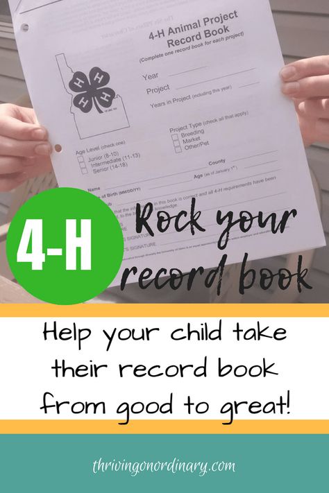 Take your record book to the next level. 4-H mom. 4-H project. Raising kids, tweens, and teen. Parenting. Livestock Showmanship. County Fair. 4h Static Projects, 4h Record Book Examples, 4h Cloverbud, County Fair Projects, Agriculture Science, 4 H Clover, 4h Projects, 4h Ideas, 4 H Club