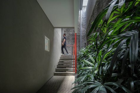 Gallery of Doctor House / Tan Tik Lam Architects - 8 Tan Tik Lam, Arch Interior, Organic Architecture, Space Ideas, Extra Rooms, Open Space, Ground Floor, Architects, Family Room