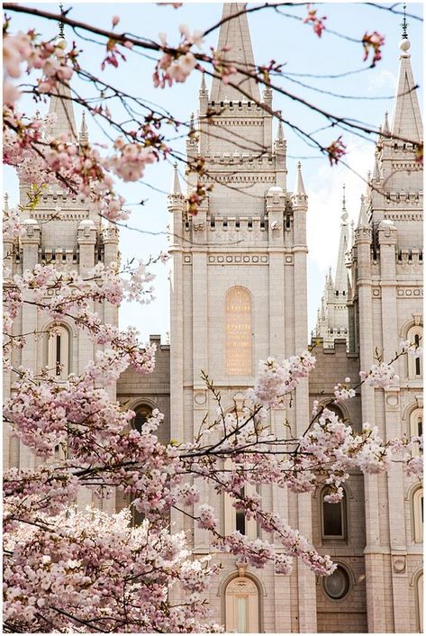 Lds Temple Pictures, Mormon Temples, House Of The Lord, Temple Pictures, Lds Temple, Lds Temples, Lds Quotes, Church Of Jesus Christ, Latter Day Saints