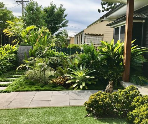 Indooroopilly Garden - Brisbane - by My Verandah Brisbane Garden, Tropical Garden Design, Backyards, Tropical Garden, Front Garden, Brisbane, Garden Ideas, Beach House, Garden Design