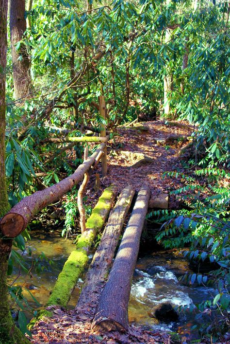 Log Bridge, Asheville Hikes, Ozark National Forest, Shawnee National Forest, Carolina Mountains, Pisgah National Forest, Utah Hikes, Forest Adventure, Trail Hiking