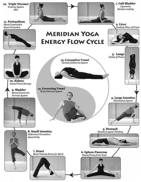 Meridian Yoga Energy Flow Cycle Hata Yoga, Meridian Energy, Yoga Energy, Energy Yoga, Energy Medicine, Yoga Therapy, Qi Gong, Restorative Yoga, Kundalini Yoga