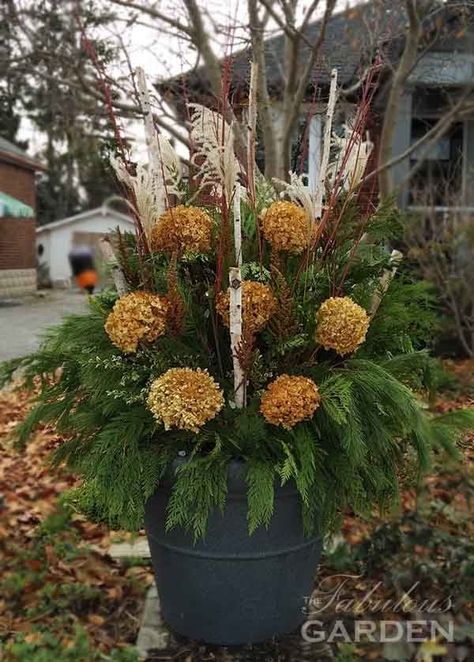 Hydrangea Planters, Front Porch Landscape, Planter Arrangements, Winter Planters, Christmas Urns, Outdoor Christmas Planters, Holiday Planter, Painted Pinecones, Winter Arrangements