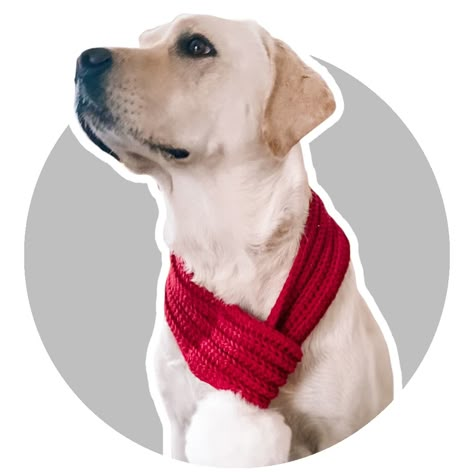 Crochet Christmas Dog Scarf Pattern, Dog Scarfs Crochet, Knitted Dog Scarf Free Pattern, Dog Scarf Knitting Pattern, Crochet Scarf For Dogs, Crochet Dog Accessories Ideas, Crochet Dog Scarf Pattern, Dog Scarf Crochet Pattern Free, Crochet Dog Scarf Free Pattern