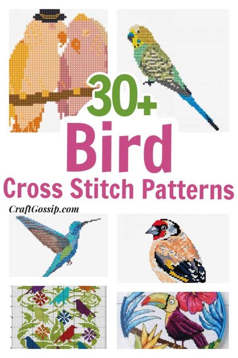 Birds Cross Stitch Pattern Free, Free Bird Cross Stitch Patterns, New Cross Stitch Patterns, Cross Stitch Charts Free Pattern, Cross Stitch Patterns Free Printable Charts, Free Cross Stitch Patterns To Download, Free Counted Cross Stitch Patterns, Cross Stitch Birds, Bird Cross Stitch Pattern