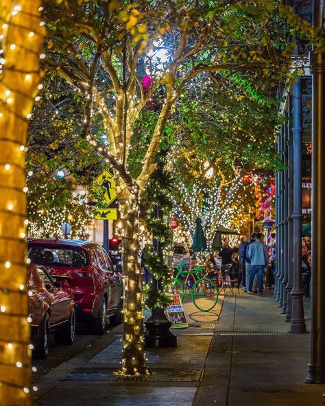 Stroll through Downtown Pensacola under the canopy of 400,000 white lights! The First City Lights Festival starts in late November and the lights stay up through the month of January. #ExperiencePcola📷@sarah.tglp Author Inspiration, Lights Festival, Best Christmas Lights, Brick Paving, Calendar Of Events, Pensacola Florida, Mormon Temple, White Lights, Christmas Trends