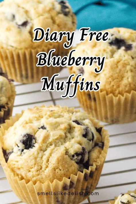 These dairy free blueberry muffins are packed with juicy fresh  blueberries, making them the perfect way to start your day. Not only are  they completely dairy free muffins, but they're also easy and quick to  prepare. Dairy Free Blueberry Muffins, Bakery Style Blueberry Muffins, Dairy Free Muffins, Gluten Free Blueberry Muffins, Homemade Blueberry Muffins, Homestead Blog, Lemon Blueberry Muffins, Muffin Recipes Blueberry, Baking Muffins