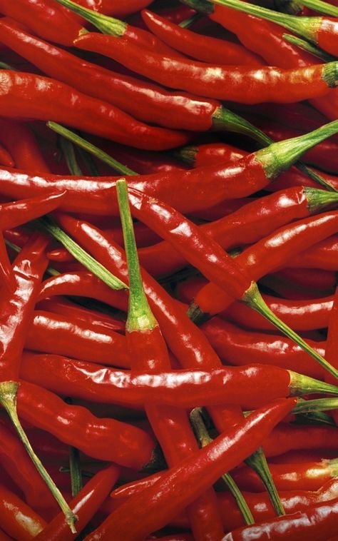 A Pimenta de caiena Chili Pimenta Hot pepper Background Chili Peppers Decor, Official Wallpaper, Paprika Pepper, Food Png, Free Ringtones, Food Wallpaper, Hottest Chili Pepper, Chilli Pepper, Hot Pepper