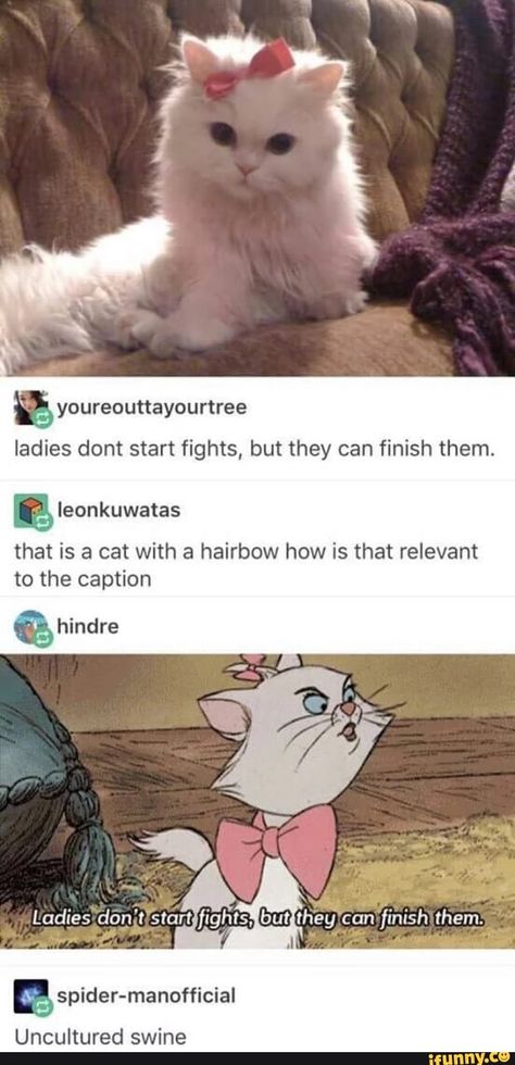 Cats Reference, Uncultured Swine, The Aristocats, Disney Jokes, Disney Memes, Funny Animal Memes, Disney Funny, Disney And Dreamworks, Disney Love