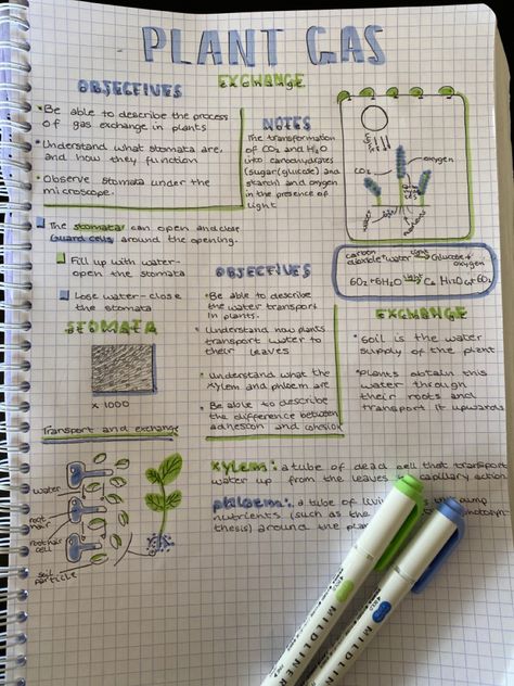 College Notes Organization, Garden Notes, Handwriting Ideas, Organization Notes, Plant Notes, Gcse Revision, Note Ideas, College Notes, Science Notebook