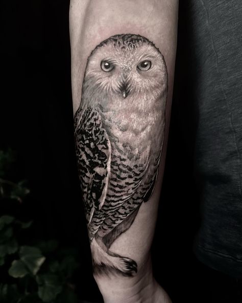 Majestic black and gray Snow Owl tattoo crafted by the talented @jenskinart Every feather is intricately detailed, capturing the elegance of this nocturnal beauty. 🦉🖤⁠ Snow Owl Tattoo, Owl Tattoo For Women, Snowy Owl Tattoo, White Owl Tattoo, Illustrative Tattoos, Mama Tried, Bird Tattoos, Snow Owl, Owl Tattoo