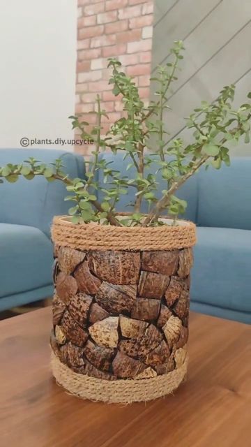 Coconut Shell Crafts, Upcycle Diy, Plants Diy, Diy Planter, Coconut Shells, Plant Pot Diy, Flower Pot Design, Fleurs Diy, Tin Can Crafts