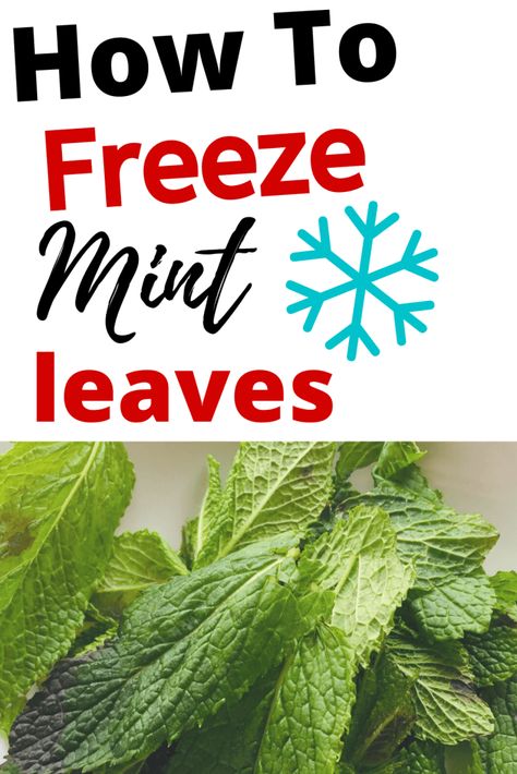 Freezing Mint Leaves, How To Harvest Mint Leaves, How To Freeze Mint Leaves, How To Keep Mint Leaves Fresh, Mint Leaves Recipe, Baking Substitutions, Store Fresh Herbs, Freeze Avocado, Freezing Vegetables